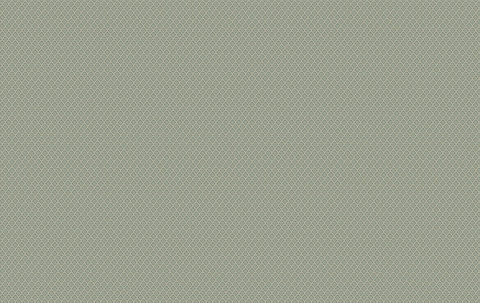 Американская ткань Trend, коллекция Lifestyles By Color vol.IX Celestial/Coral, артикул 04638/spa
