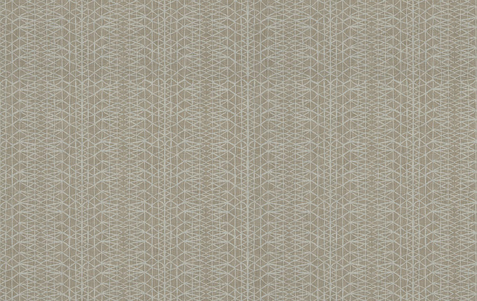 Американская ткань Trend, коллекция Lifestyles By Color vol.IX Sand/Storm, артикул 04559/latte