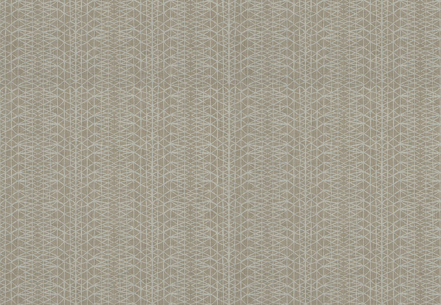 Ткань Trend Lifestyles By Color vol.IX Sand/Storm 04559/latte