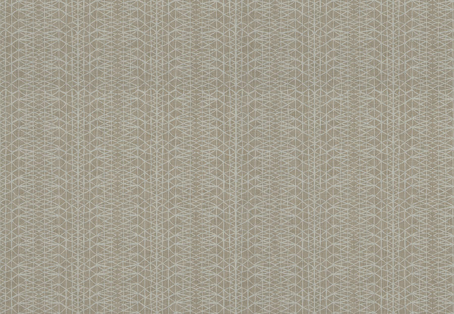 Ткань Trend Lifestyles By Color vol.IX Sand/Storm 04559/latte