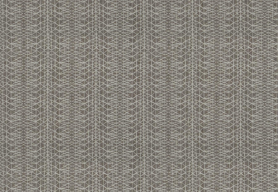 Ткань Trend Lifestyles By Color vol.IX Sand/Storm 04559/quarry
