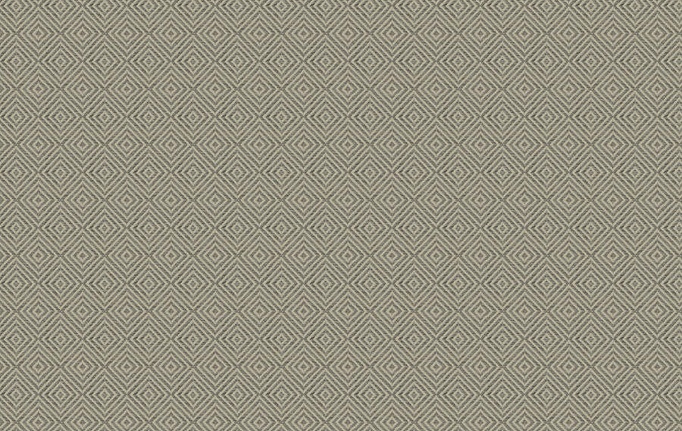 Американская ткань Trend, коллекция Lifestyles By Color vol.IX Sand/Storm, артикул 04602/silver