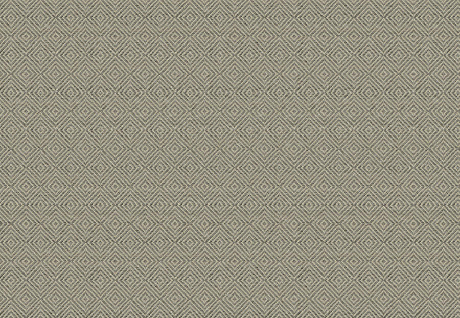 Ткань Trend Lifestyles By Color vol.IX Sand/Storm 04602/silver