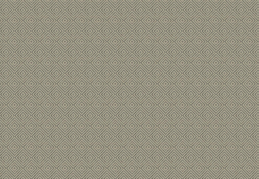 Ткань Trend Lifestyles By Color vol.IX Sand/Storm 04602/silver