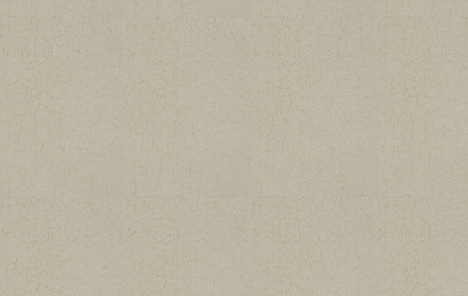 Американская ткань Trend, коллекция Lifestyles By Color vol.IX Sand/Storm, артикул 04639/parchment