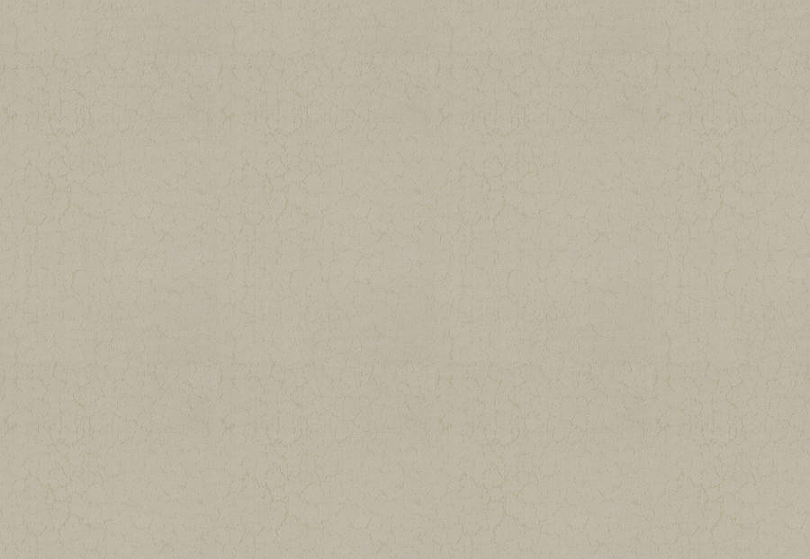 Ткань Trend Lifestyles By Color vol.IX Sand/Storm 04639/parchment