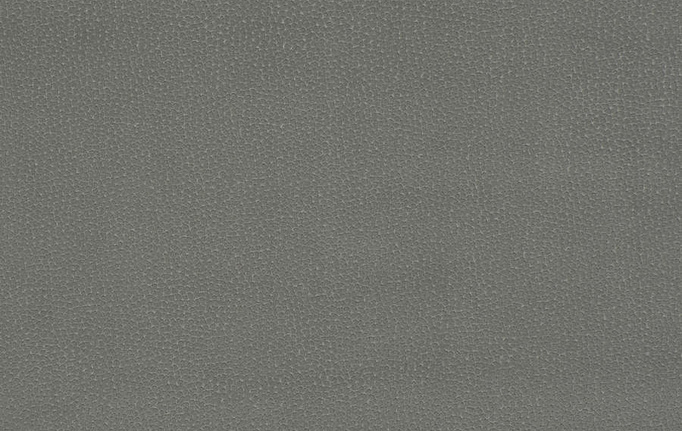 Американская ткань Trend, коллекция Lifestyles By Color vol.IX Shadow/Charcoal, артикул 04627/silver