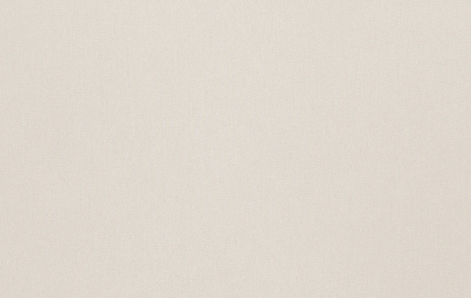 Американская ткань Trend, коллекция Simple Wide Sheers, артикул 03191/champagne