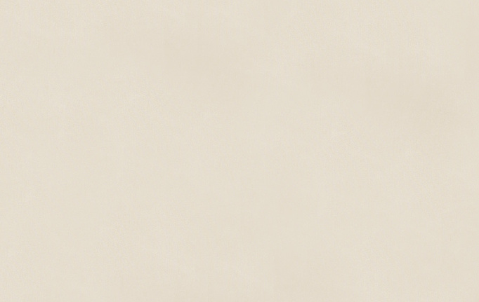 Американская ткань Trend, коллекция Simple Wide Sheers, артикул 03341/cedar