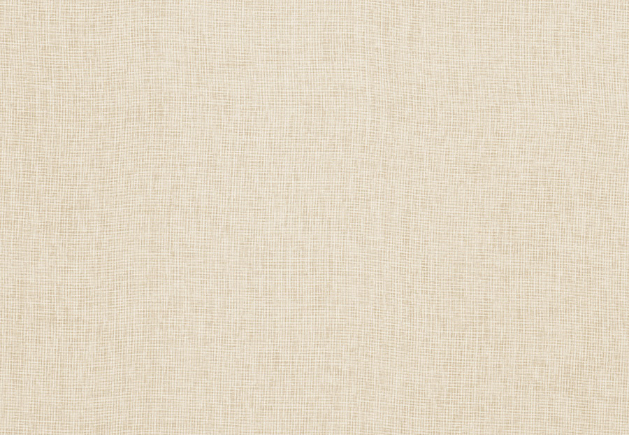 Ткань Trend Simple Wide Sheers 03333/bone