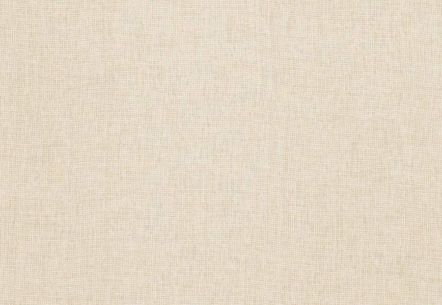 Ткань Trend Simple Wide Sheers 03333/bone