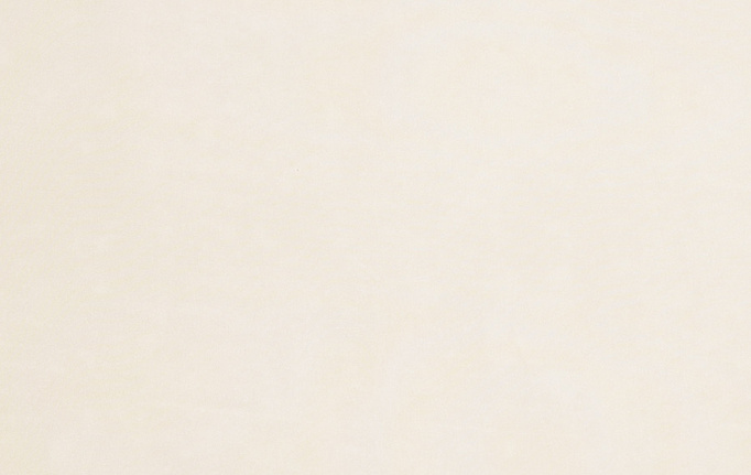 Американская ткань Trend, коллекция Simple Wide Sheers, артикул 03341/champagne