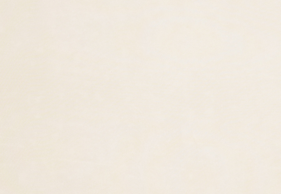 Ткань Trend Simple Wide Sheers 03341/champagne
