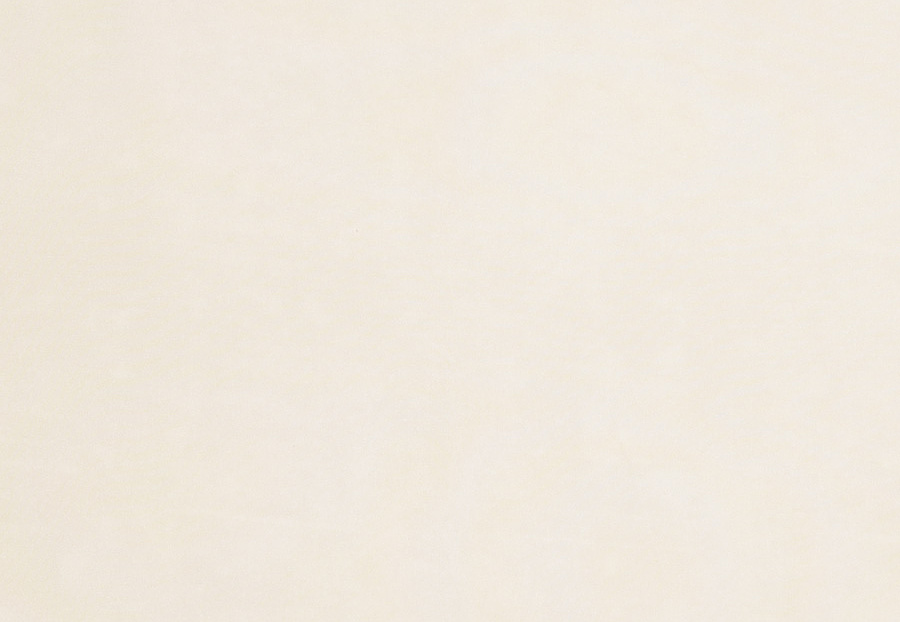 Ткань Trend Simple Wide Sheers 03341/champagne