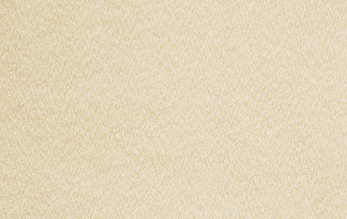 Американская ткань Trend, коллекция Simple Wide Sheers, артикул 03338/champagne