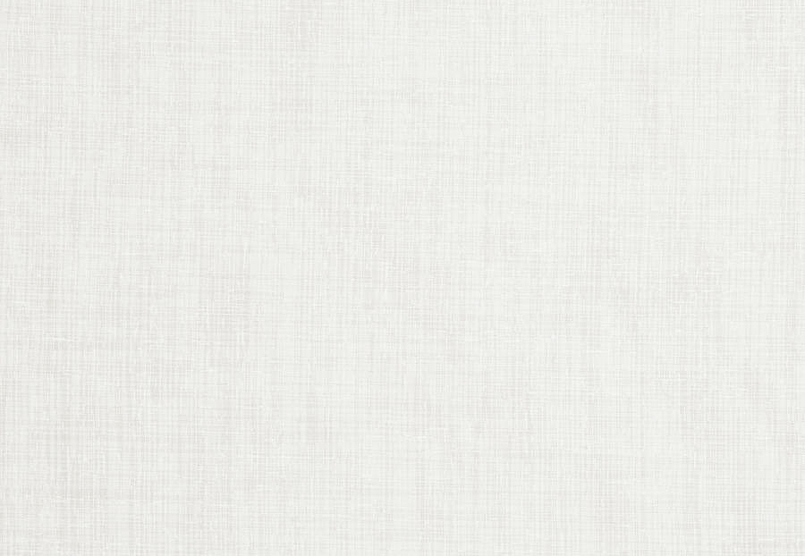 Ткань Trend Simple Wide Sheers 03336/winter