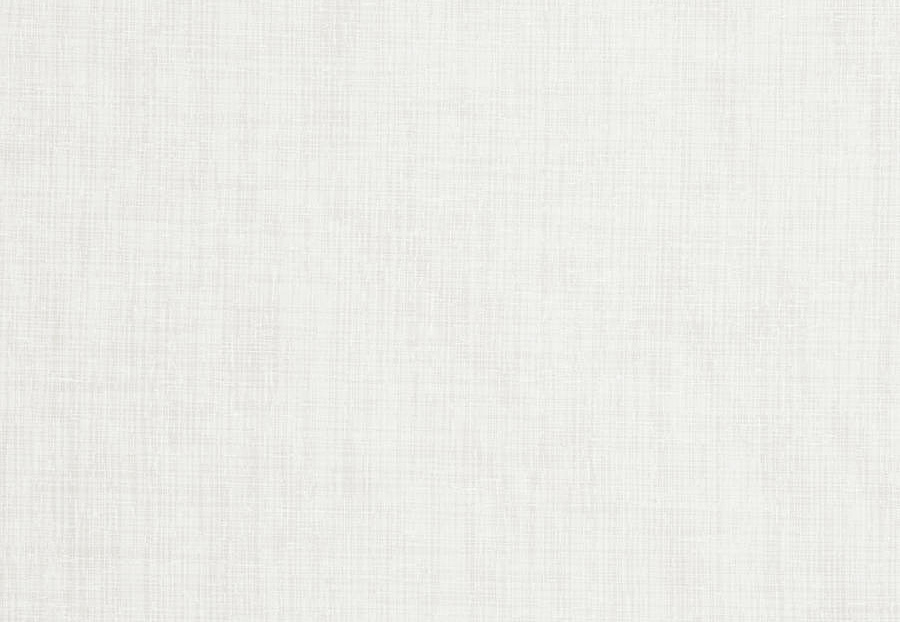Ткань Trend Simple Wide Sheers 03336/winter