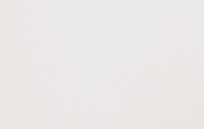 Американская ткань Trend, коллекция Simple Wide Sheers, артикул 03191/snow