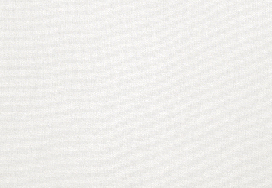 Ткань Trend Simple Wide Sheers 03191/winterwhite