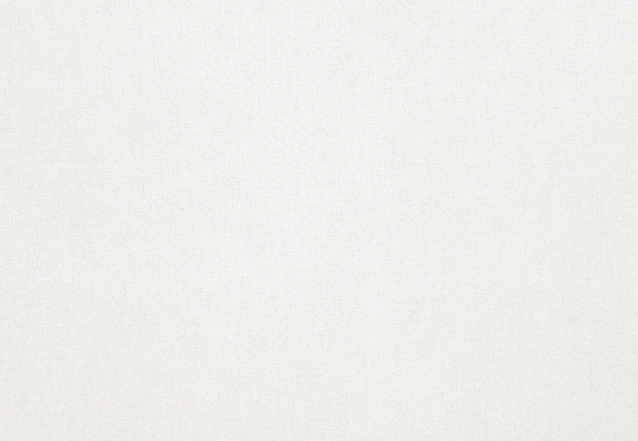 Ткань Trend Simple Wide Sheers 03191/winterwhite