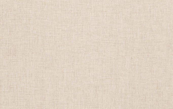 Американская ткань Trend, коллекция Simple Wide Sheers, артикул 03333/ecru
