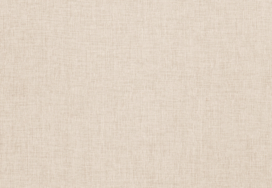 Ткань Trend Simple Wide Sheers 03333/ecru
