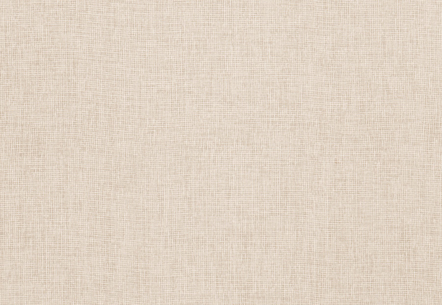 Ткань Trend Simple Wide Sheers 03333/ecru