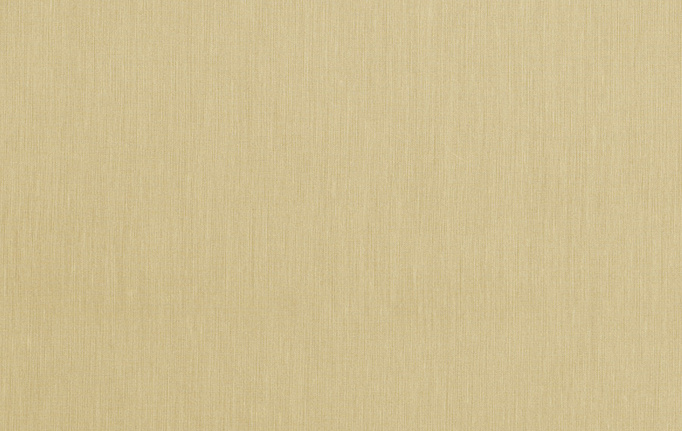 Американская ткань Trend, коллекция Simple Wide Sheers, артикул 03340/cedar