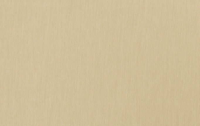 Американская ткань Trend, коллекция Simple Wide Sheers, артикул 03340/camel