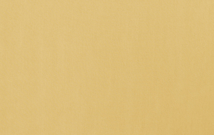 Американская ткань Trend, коллекция Simple Wide Sheers, артикул 03341/honey