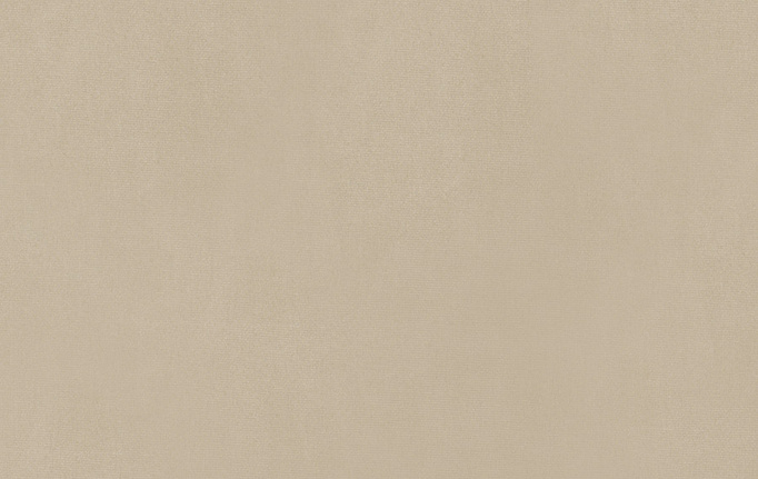 Американская ткань Trend, коллекция Simple Wide Sheers, артикул 03341/muslin