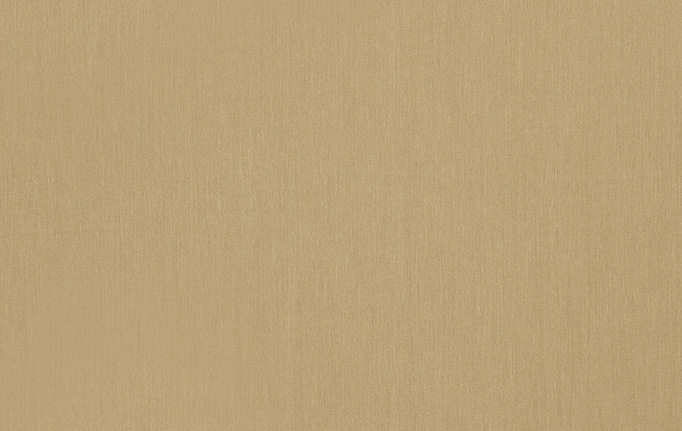 Американская ткань Trend, коллекция Simple Wide Sheers, артикул 03340/muslin