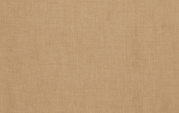 Американская ткань Trend, коллекция Simple Wide Sheers, артикул 03332/camel