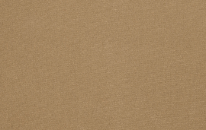 Американская ткань Trend, коллекция Simple Wide Sheers, артикул 03341/sesame
