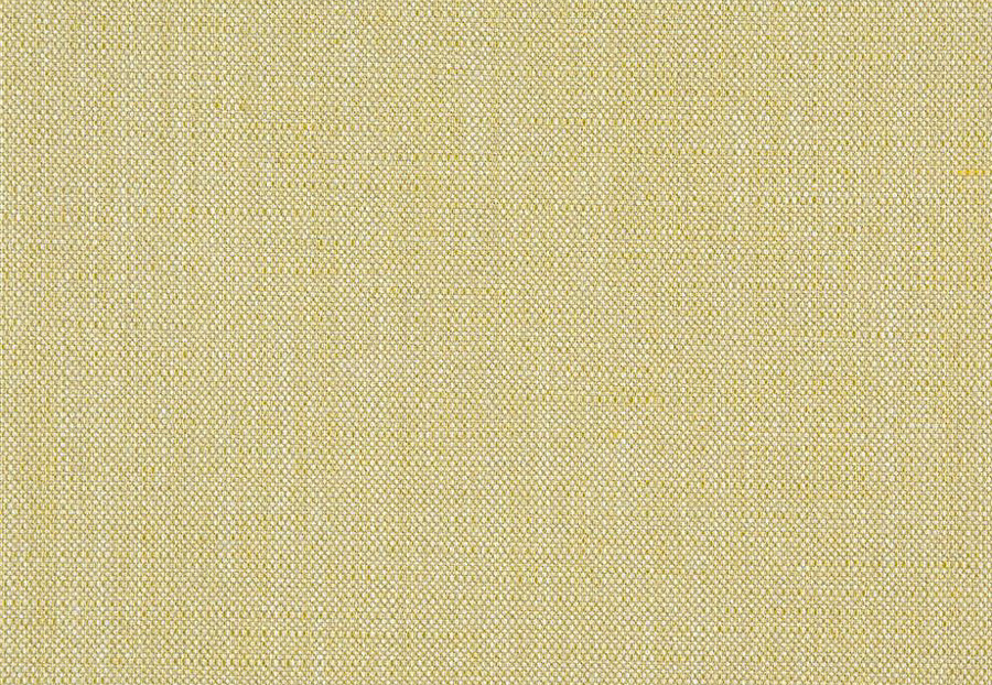 Ткань Designers Guild Opera FDG2701/29