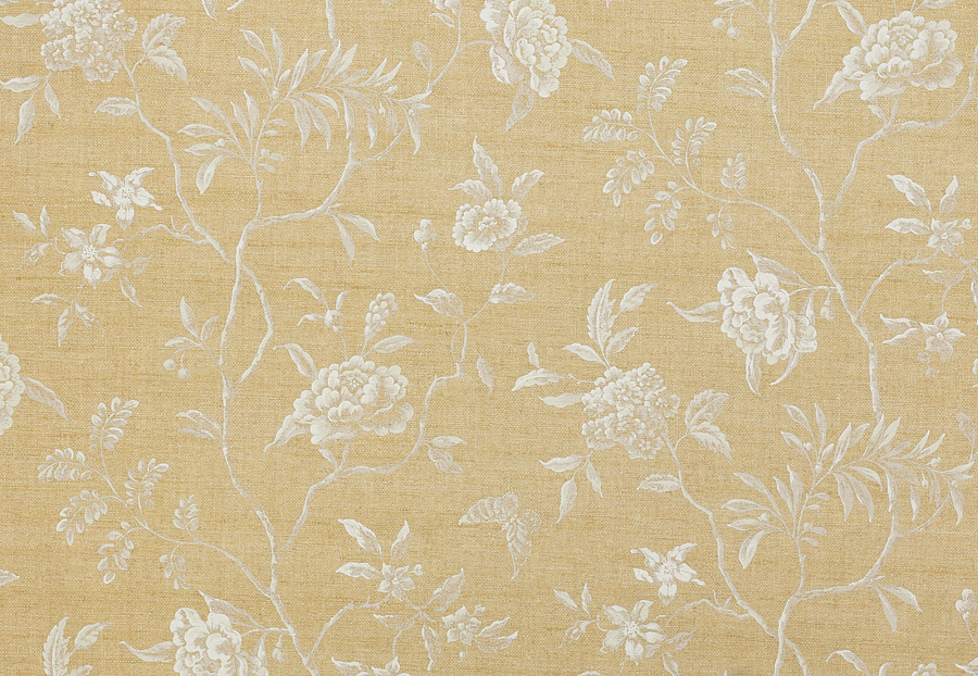 Ткань Colefax and Fowler Leonora F4657/01