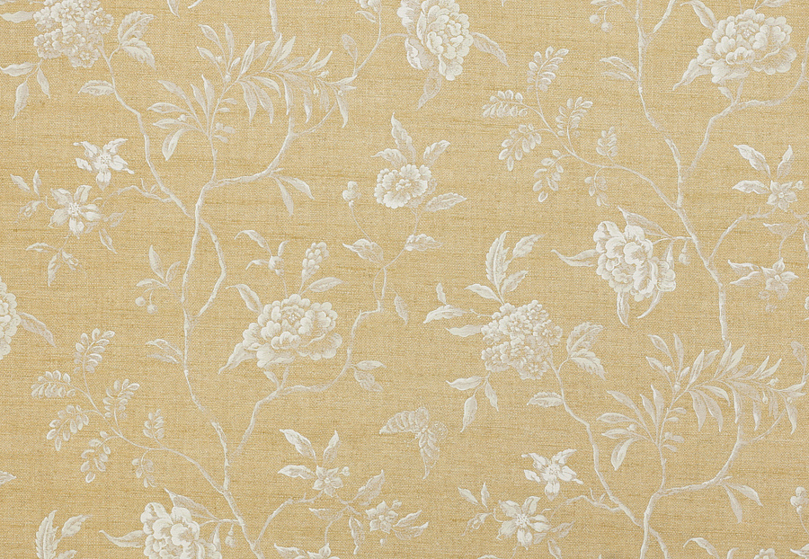 Ткань Colefax and Fowler Leonora F4657/01