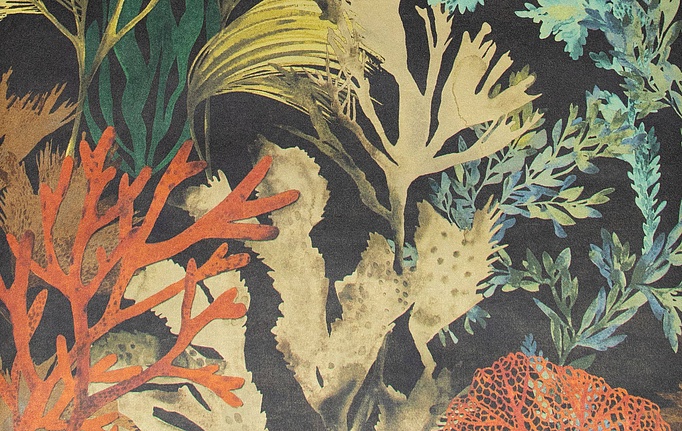 Немецкие обои Hohenberger, коллекция Tropical, артикул 26737