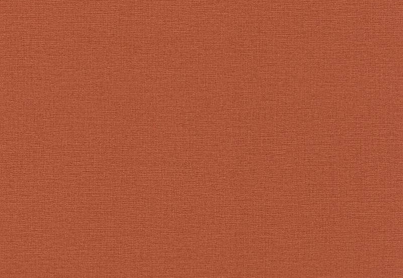 Обои Rasch Kalahari 449051
