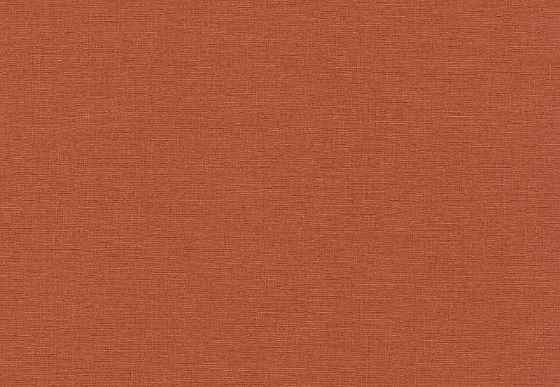 Обои Rasch Kalahari 449051