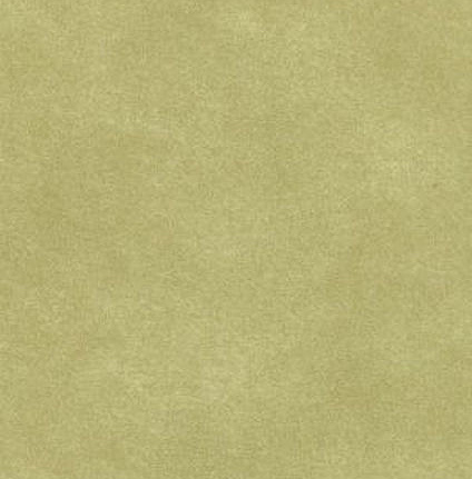 Обои Prestigious Textiles Fusion 1922-651