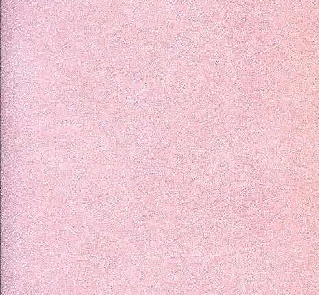 Обои Prestigious Textiles Pure 1922-562