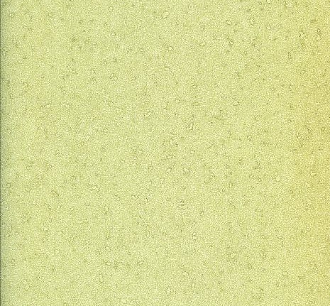 Обои Prestigious Textiles Pure 1928-391