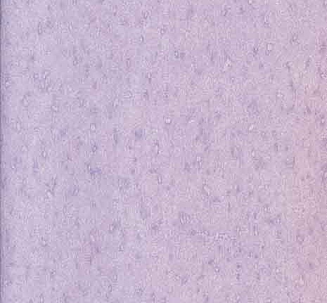 Обои Prestigious Textiles Pure 1928-995