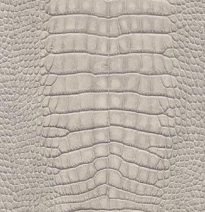 Обои DID Natural Faux SD102101