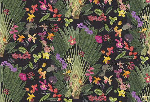 Обои Nicolette Mayer Regency Moderne Fantasy Tropical/Black