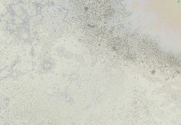 Панно и фотообои Calico Inverted Spaces Andromeda