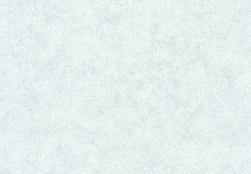Обои Caselio Beton 2 BTO101486012