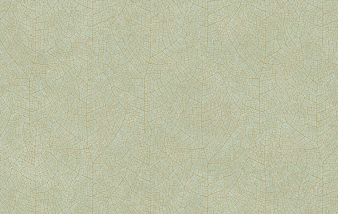 Французские обои Casadeco, коллекция So Color 5, артикул COLR26217010