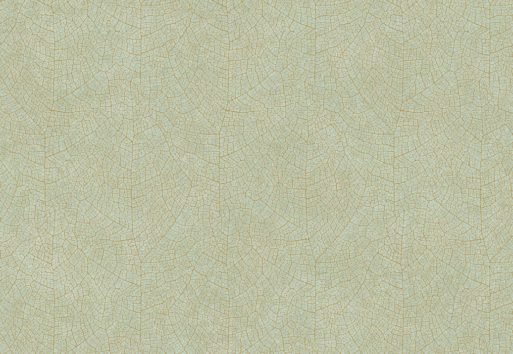 Обои Casadeco So Color 5 COLR26217010